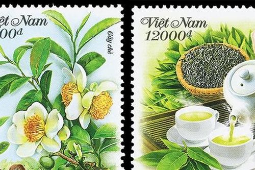 Ra mắt bộ tem 'Cây chè'