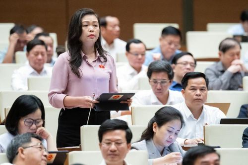 Đại biểu Quốc hội tỉnh Đoàn Thị Lê An thảo luận tại hội trường về Dự án Luật Đường bộ