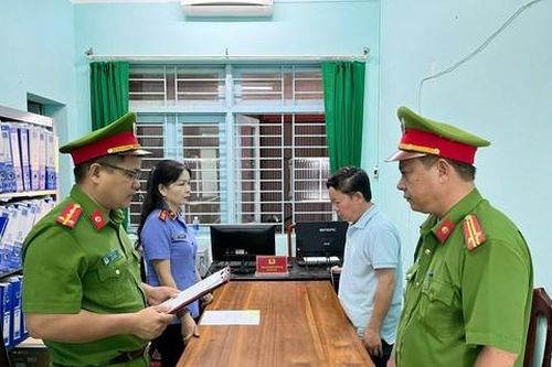 Vụ phá rừng để làm đường dây điện: Khởi tố nguyên tổng giám đốc công ty