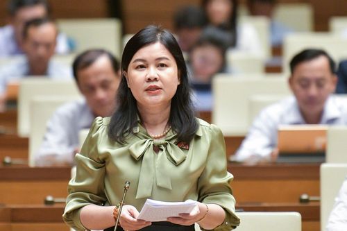 Đại biểu Quốc hội đề nghị áp dụng phí nội đô với ô tô cá nhân