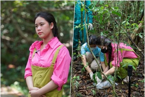 Bella Vũ chung tay đưa động vật hoang dã về mái nhà xanh