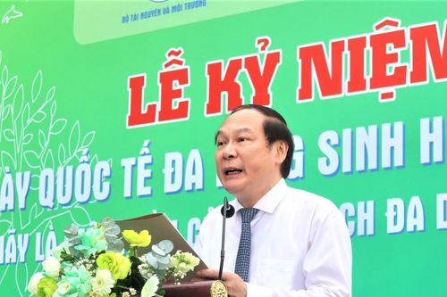 Quảng Nam: Chung tay bảo tồn thiên nhiên, đa dạng sinh học