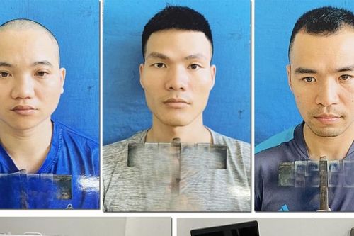 Bắt 3 đối tượng sản xuất văn bằng giả