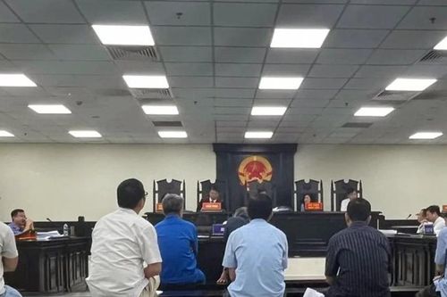 Tuyên án loạt cựu cán bộ ở Gia Lâm liên quan sai phạm trong chuyển đổi mục đích sử dụng đất