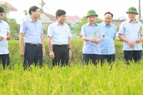 Nam Định: lãnh đạo tỉnh kiểm tra công trình đê điều trước mùa mưa lũ
