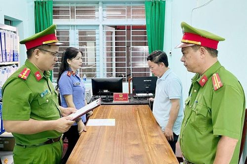 Quảng Nam khởi tố, bắt tạm giam 1 đối tượng về tội hủy hoại rừng