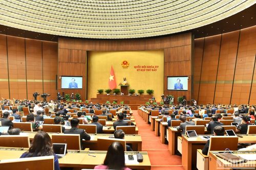 Đã có 55% chỉ tiêu đạt, vượt mục tiêu Chiến lược Bình đẳng giới đến năm 2025
