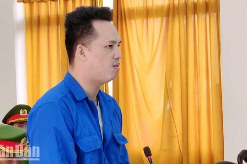 Lĩnh hơn 17 năm tù vì mua bằng lái giả rồi lái xe tông chết người