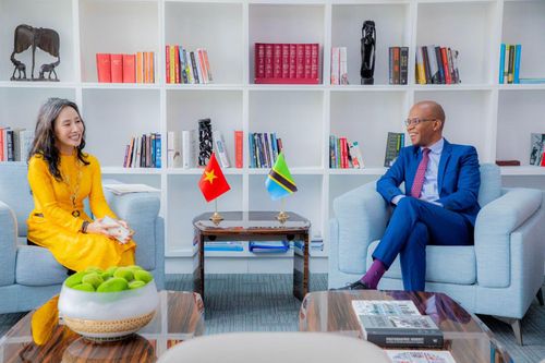 Tanzania mong muốn hợp tác đầu tư, thương mại và giao lưu nhân dân giữa hai nước tiếp tục phát triển