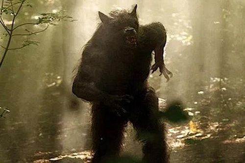 Truyền thuyết đáng sợ về 'người chó' khiến bao người 'mất ăn mất ngủ'