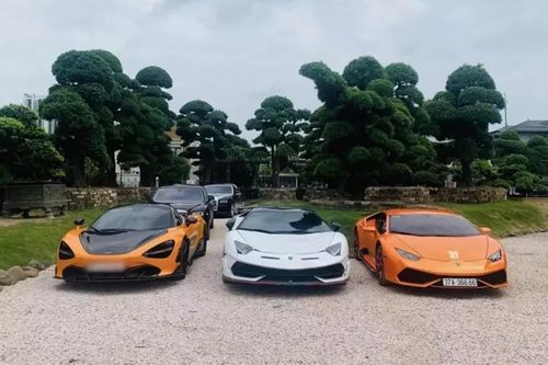 Huấn hoa hồng 'cưỡi' McLaren 720S khai trương vườn tùng nhật