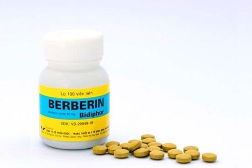 Nano berberin ức chế vi khuẩn gây sâu răng