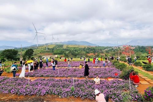 Tạo sinh kế từ khai thác tiềm năng nông nghiệp