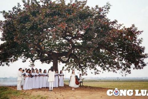 Trình diễn 22 tác phẩm tại hòa nhạc 'Việt Nam thương mến - Loving Vietnam 2024'