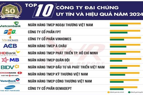 Công bố Top 50 Công ty Đại chúng uy tín và hiệu quả năm 2024