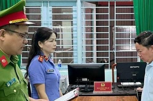 Quảng Nam: Một tổng giám đốc bị bắt vì phá rừng