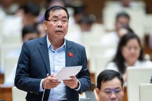 Sau đám cưới ở quê, đại biểu Quốc hội thấy cấm tuyệt đối người uống rượu bia lái xe 'có khi lại đúng'