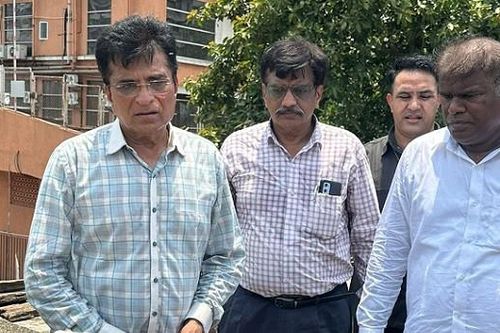 Hàng chục con hồng hạc rơi xuống đất do va chạm với máy bay chở khách