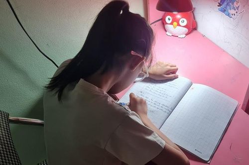 Vụ lớp 1 phải thi viết bài luận về sách: Học sinh sẽ không bị bắt buộc tham gia