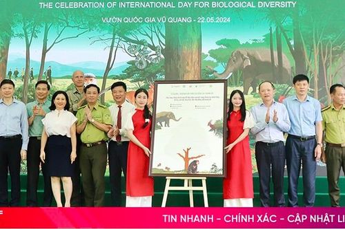 Hà Tĩnh hưởng ứng Ngày Quốc tế đa dạng sinh học