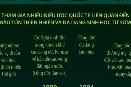 Việt Nam tích cực tham gia các cam kết quốc tế về đa dạng sinh học