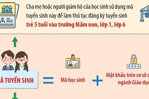 Hà Nội: Cấp mã tuyển sinh đầu cấp trước ngày 31/5/2024