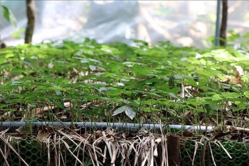 Bảo vệ cuộc sống của con người và các loài sinh vật khác