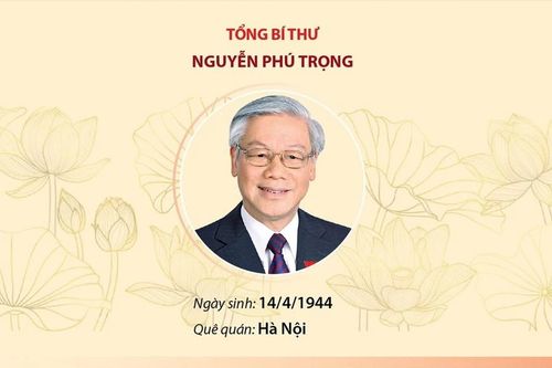 Danh sách 16 Ủy viên Bộ Chính trị khóa XIII, tính đến ngày 22/5/2024