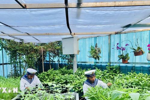Mô hình 'vườn, chuồng' giữa trùng khơi Trường Sa