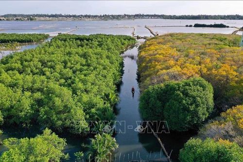 'Hãy là một phần của Kế hoạch đa dạng sinh học'