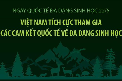 Việt Nam tích cực tham gia các cam kết quốc tế về đa dạng sinh học