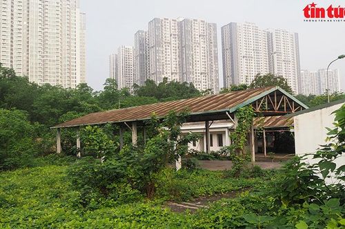 Chợ mới xây bỏ hoang, chợ cóc đông đúc
