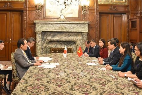 Thúc đẩy phát triển thực chất quan hệ Việt Nam - Nhật Bản