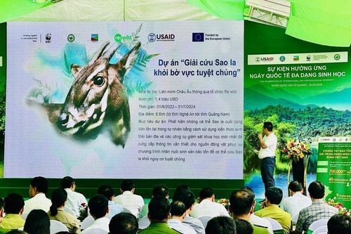 Sống có trách nhiệm với động vật hoang dã