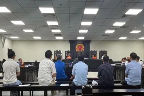 Hà Nội: Cựu Phó Chủ tịch huyện và loạt cán bộ ở huyện Gia Lâm lĩnh án do sai phạm đất đai