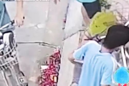 Không thấy quả mít trên cây, cô gái check camera thì phát hiện thủ phạm