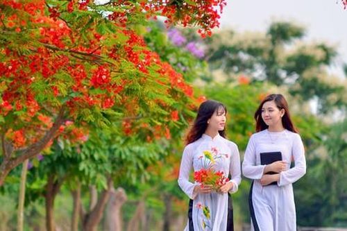 Màu hoa của tiếng lòng thổn thức