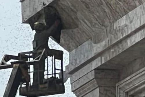 Khách sạn ở Hải Phòng phá tổ ong, 4 người nhập viện