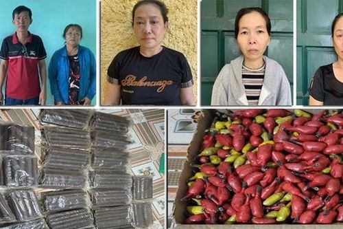 Tạm giữ 5 đối tượng nữ trong đường dây mua bán trái phép vật liệu nổ