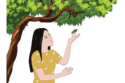 Dưới bóng cội xanh
