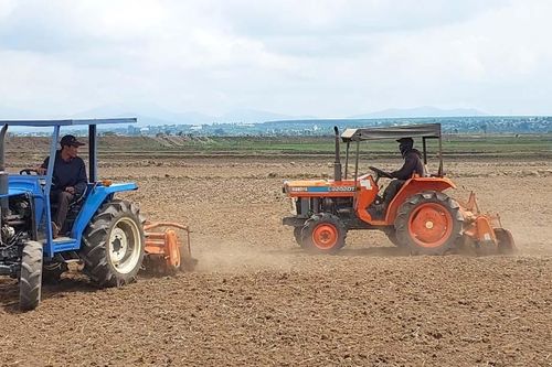 Linh hoạt triển khai gieo trồng vụ mùa phù hợp với diễn biến thời tiết