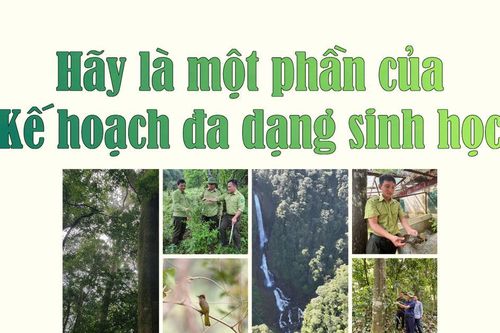 Hãy là một phần của Kế hoạch đa dạng sinh học