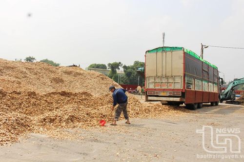 Chủ Bến thủy nội địa Thắng Lá bị xử phạt vi phạm hành chính