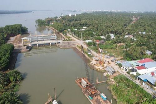 Tiền Giang: Mặn trên sông Tiền không còn ảnh hưởng đến vùng chuyên canh cây ăn quả phía Tây