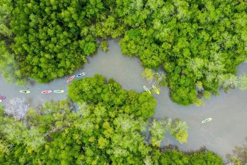 BenThanh Tourist luôn hướng tới xây dựng sản phẩm du lịch xanh