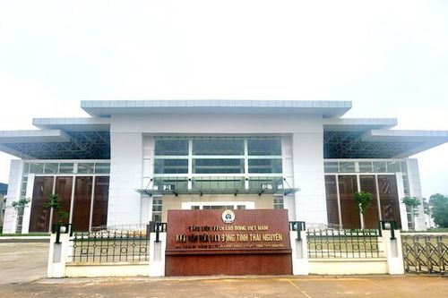 Hội khỏe Phù Đổng toàn quốc lần thứ X khu vực 2 có sự tham gia của hơn 2600 vận động viên