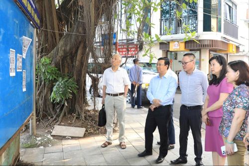 Xử lý nghiêm các vi phạm trong hoạt động quảng cáo