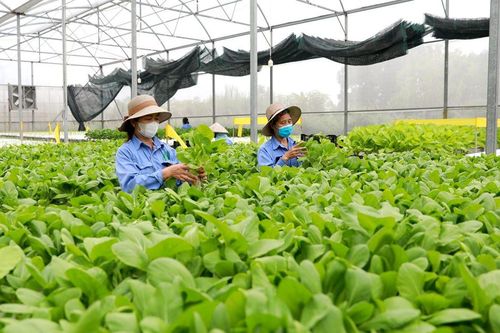HTX vì lợi ích của thành viên và khách hàng