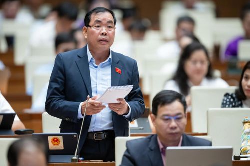 Đại biểu Quốc hội ủng hộ cấm tuyệt đối nồng độ cồn khi lái xe