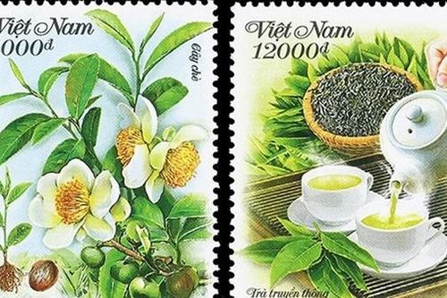 Giới thiệu cây chè và văn hóa trà của người Việt Nam trên tem bưu chính